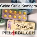 Gelée Orale Kamagra new06